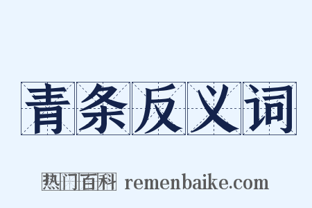 青条反义词是什么意思的图片